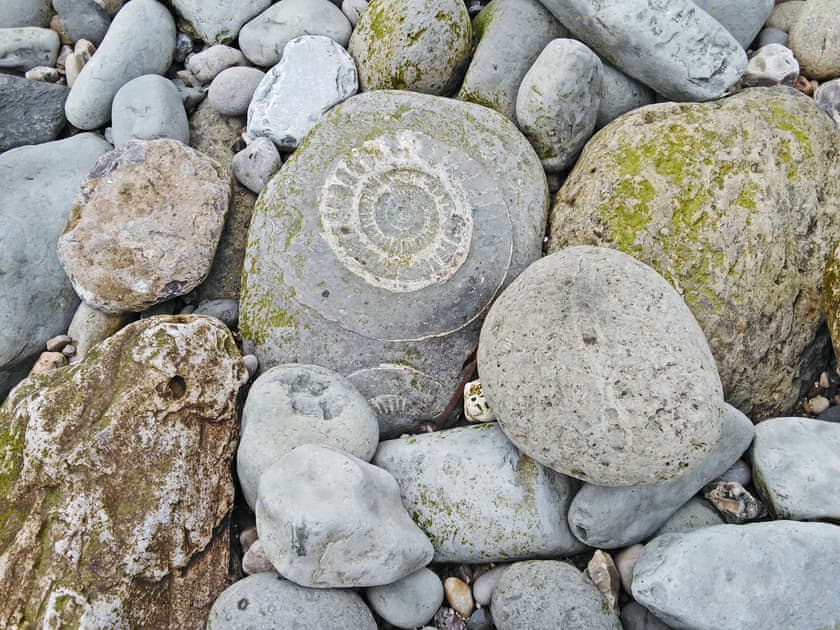 Lyme Regis | Clouseau Cottage - Coppers Cottages, Lyme Regis
