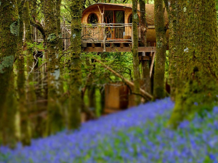 Hengoed - Pen Y Graig Treehouses, Newtown