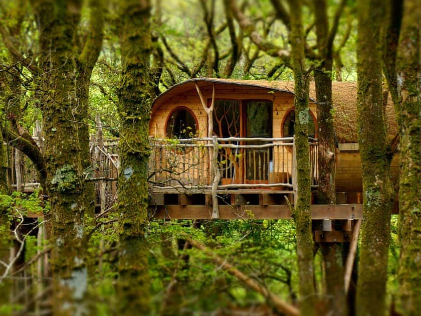 Hengoed - Pen Y Graig Treehouses, Newtown