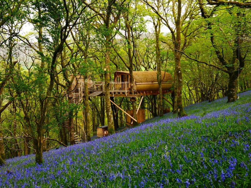 Hengoed - Pen Y Graig Treehouses, Newtown