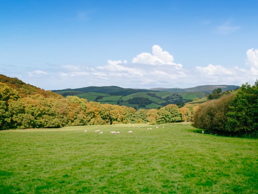 Gwdw Hw - Pen Y Graig Treehouses, Newtown