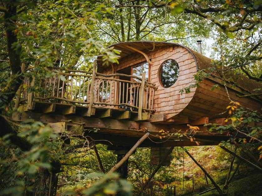 Lofty - Pen Y Graig Treehouses, Newtown