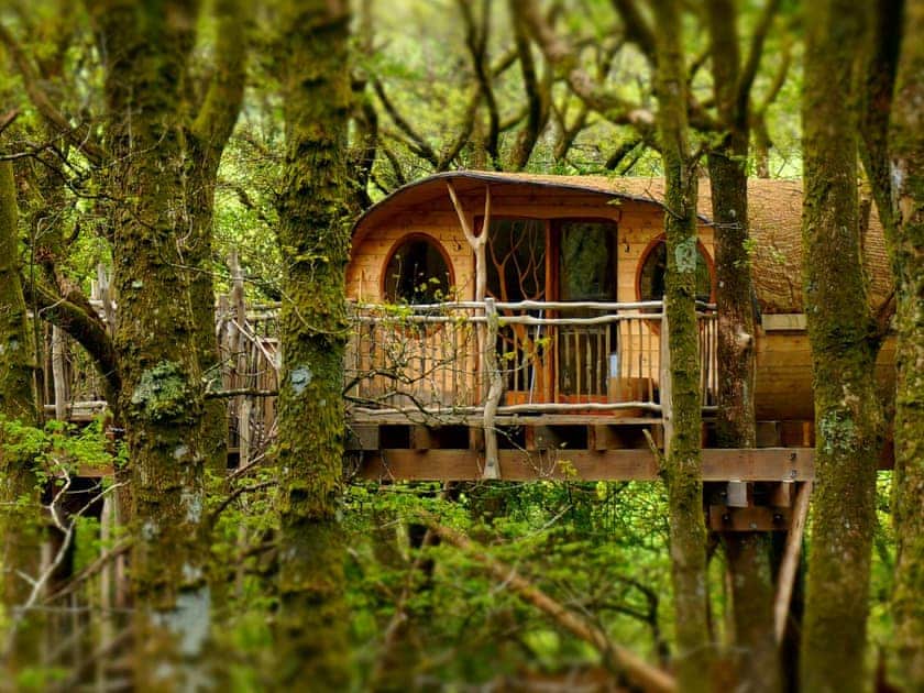 Lofty - Pen Y Graig Treehouses, Newtown