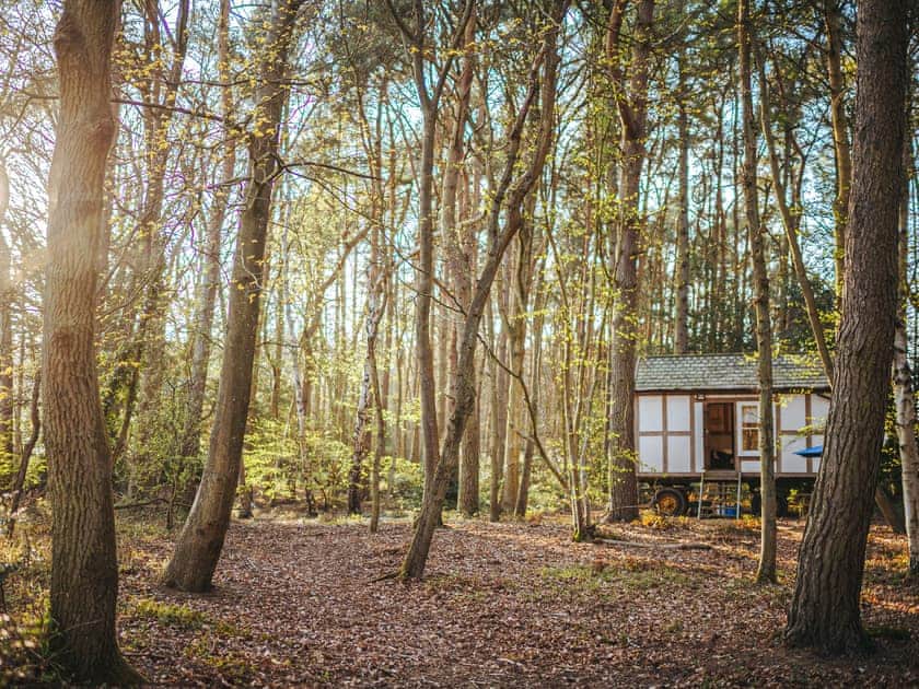 Jacob’s Folly - Rosslyn Glamping, Melton Constable