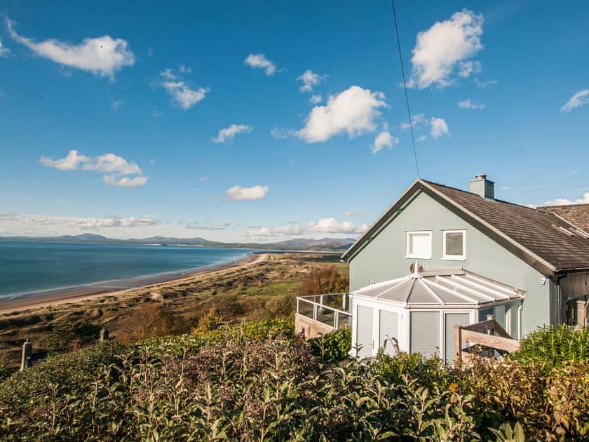 Blue Teal, Harlech