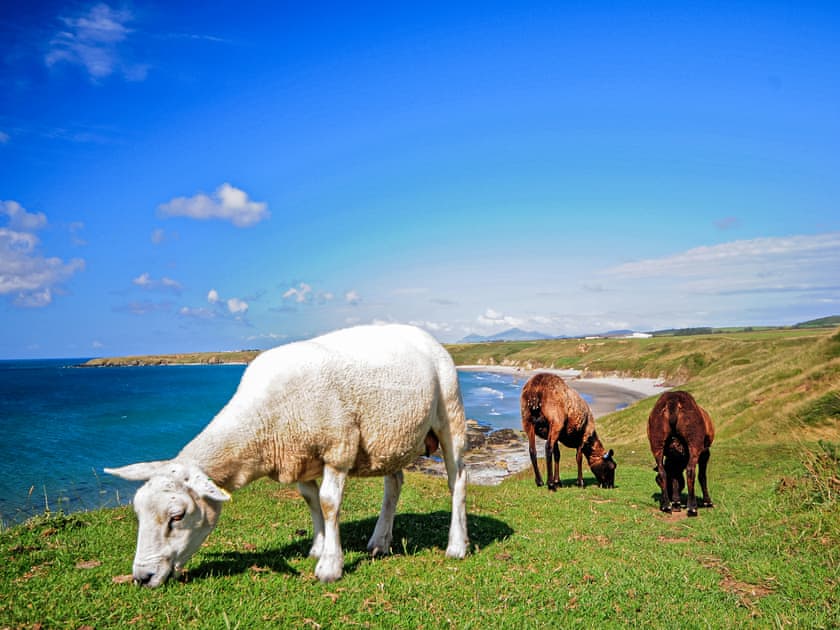 Captain’s House, Morfa Nefyn, Llyn Peninsula