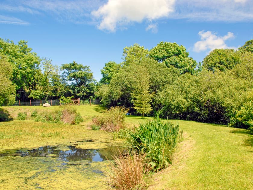 Woodland Retreat, Near Solva