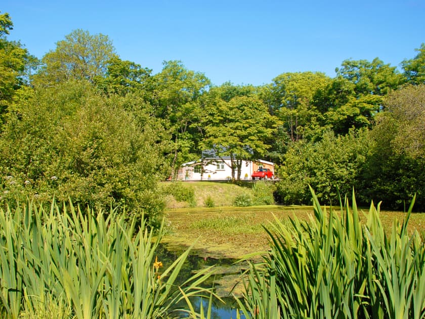 Woodland Retreat, Near Solva