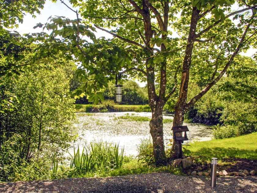 Woodland Retreat, Near Solva