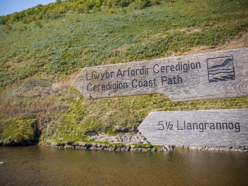 Ty Cwch Caban 1 - Ty Cwch Glamping, Llwyndafydd, Llandysul