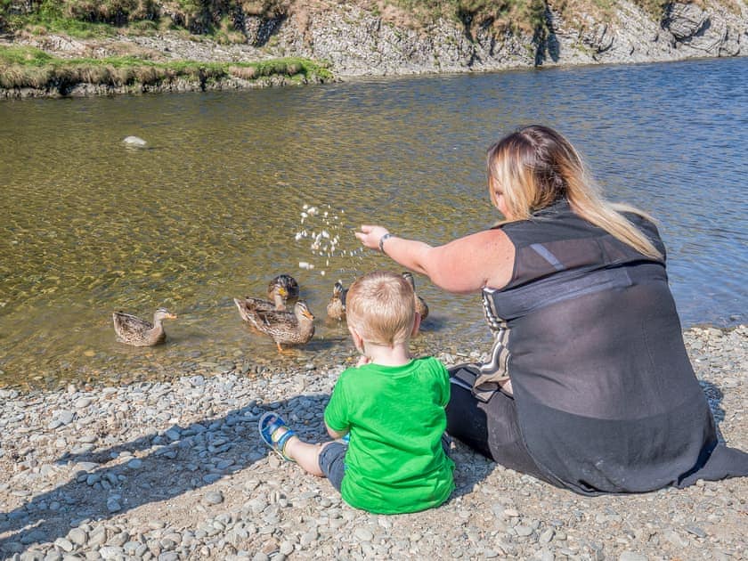 Ty Cwch Caban 1 - Ty Cwch Glamping, Llwyndafydd, Llandysul