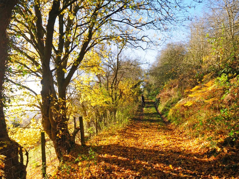 Bryn Araul, Near Dolgellau