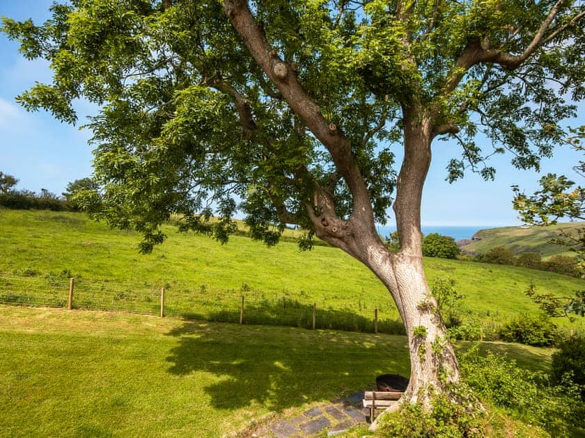 Crug y Felin, Ceibwr Cove