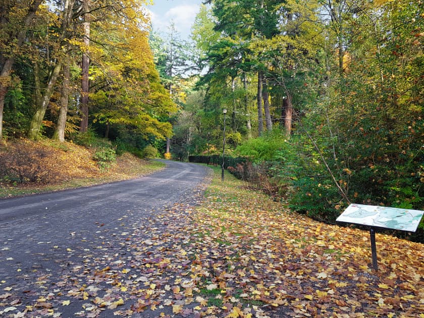 Surrounding area | Family Lodge No.4 - Atholl Palace Holidays, Pitlochry