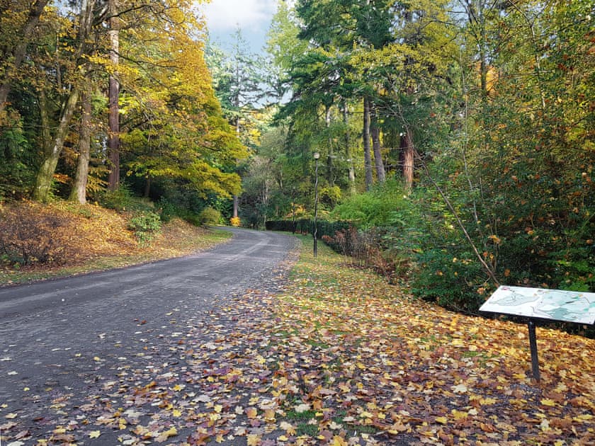 Surrounding area | Family Lodge No.2 The Place Downstairs - Atholl Palace Holidays, Pitlochry