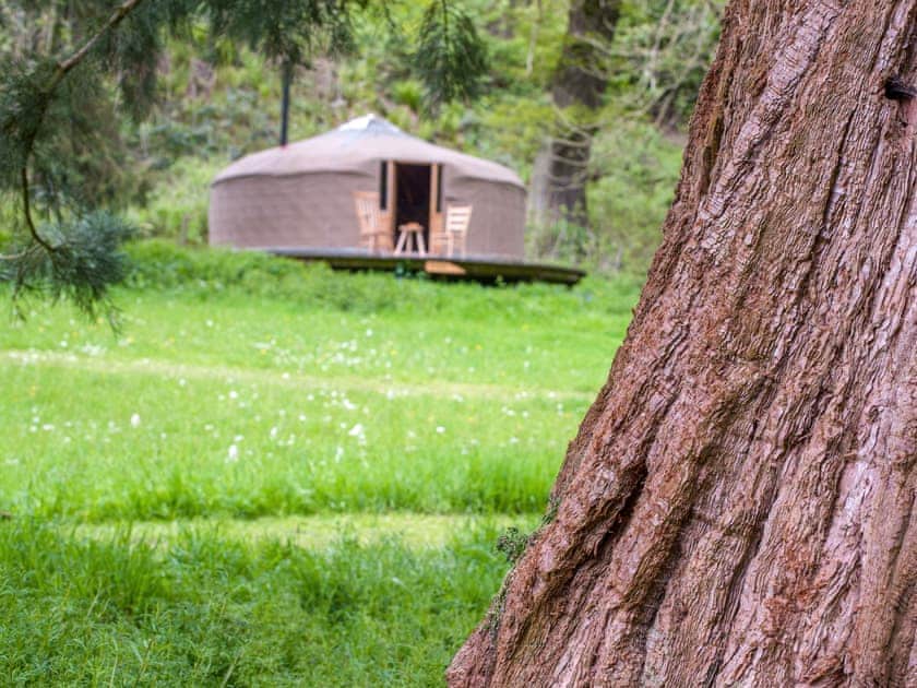Seren - Redwood Valley Cabins and Yurts, Presteigne