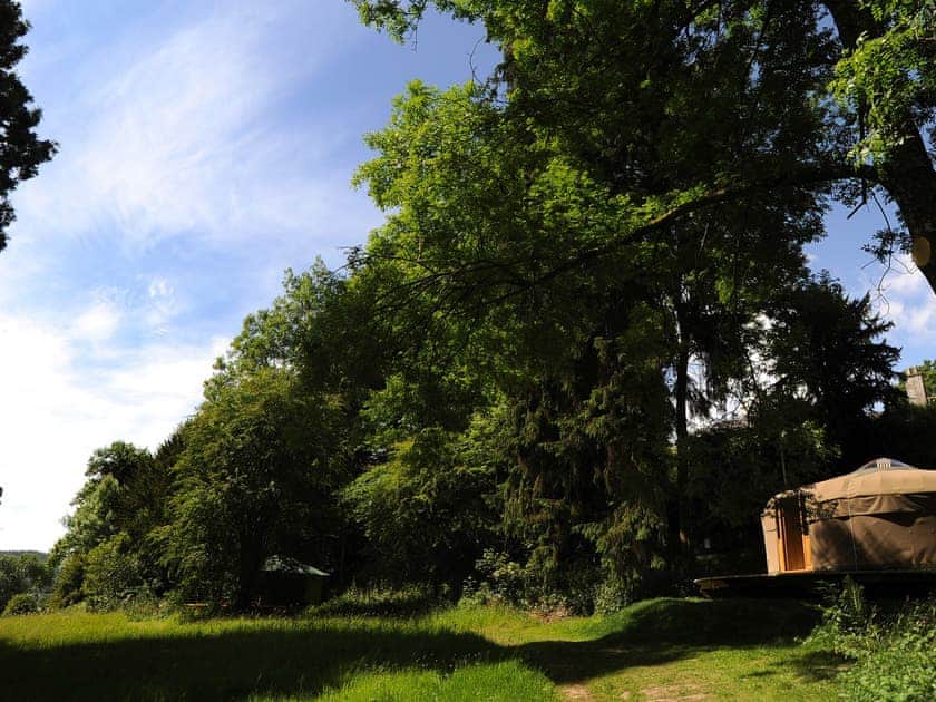 Seren - Redwood Valley Cabins and Yurts, Presteigne