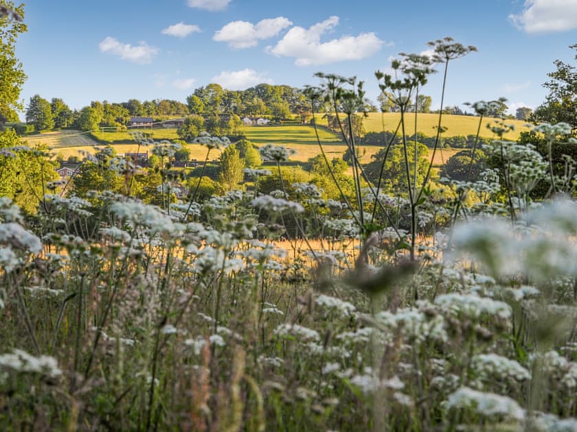 Seren - Redwood Valley Cabins and Yurts, Presteigne