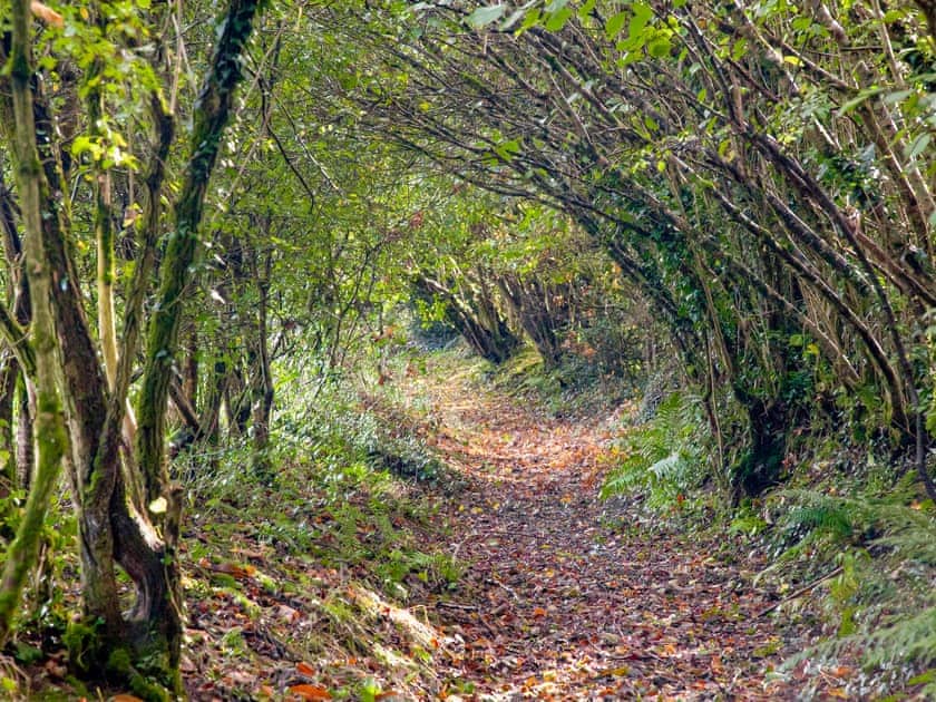 Surrounding area | The Threshing Barn - Middle Corscombe, Sampford Courtenay, Okehampton