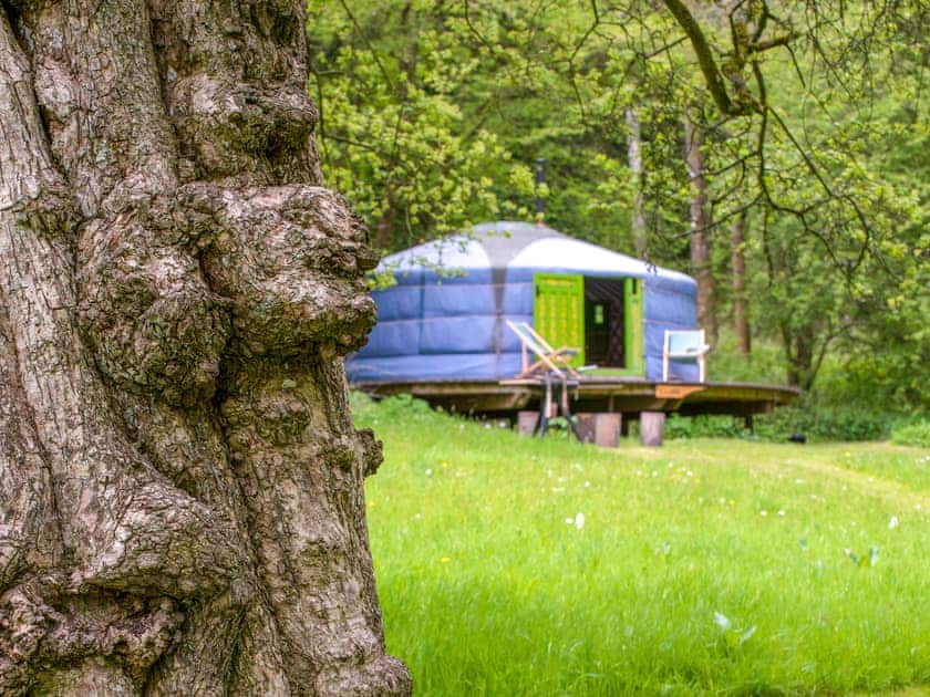 Eilian - Redwood Valley Cabins and Yurts, Presteigne