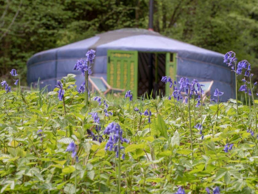 Eilian - Redwood Valley Cabins and Yurts, Presteigne