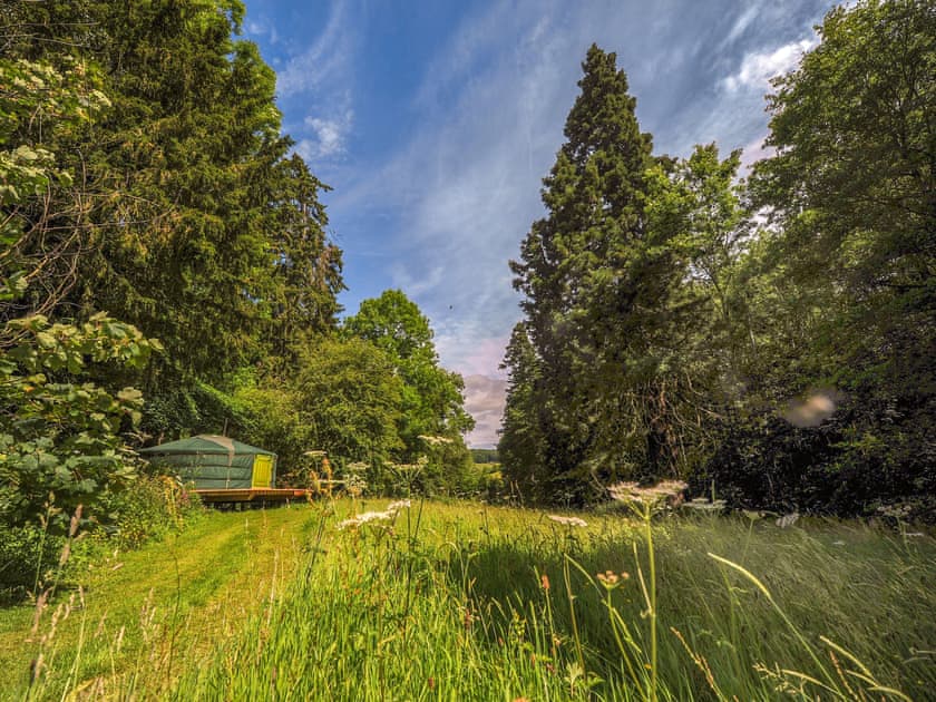 Eilian - Redwood Valley Cabins and Yurts, Presteigne