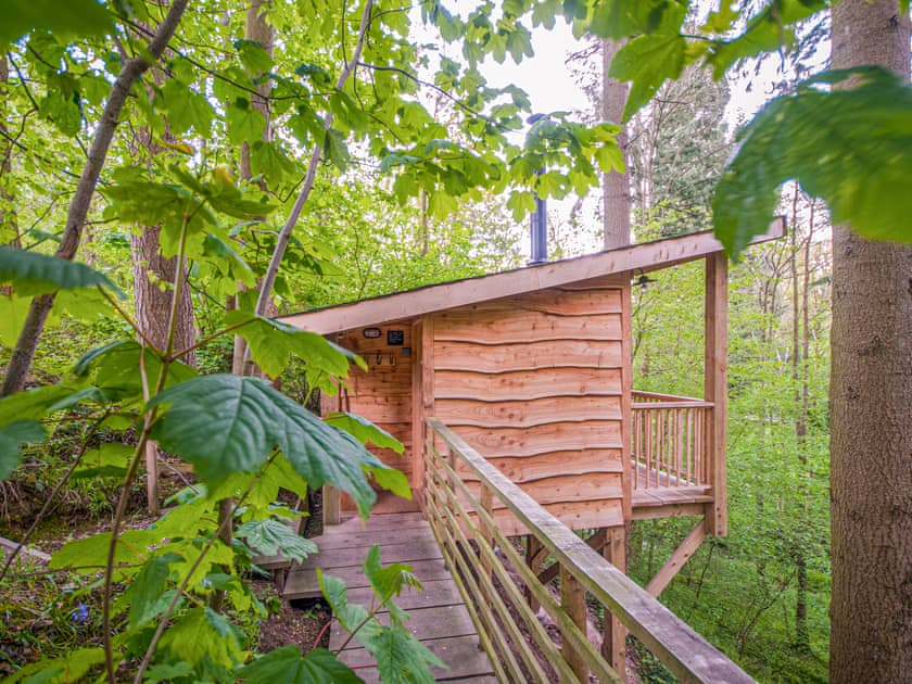 Treetop Cabin - Redwood Valley Cabins and Yurts, Presteigne