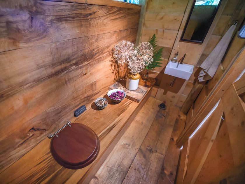 Treetop Cabin - Redwood Valley Cabins and Yurts, Presteigne