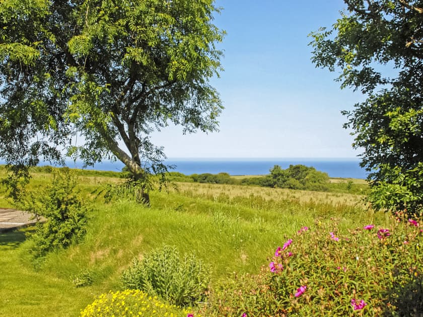 Garden views  | Pencaer - Yr Hafan Holiday Cottages, Llanrhian, near Porthgain