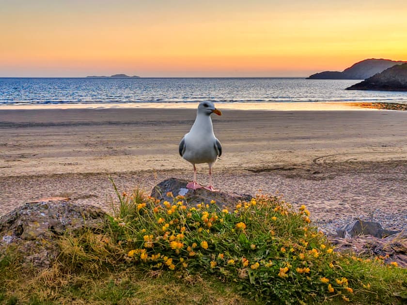Sunset at Dinas Head  | Pencaer - Yr Hafan Holiday Cottages, Llanrhian, near Porthgain