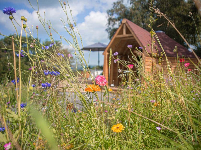 Dol y Mynydd (The Mountain Meadow) - Mountain Meadow Cabins, Abergele