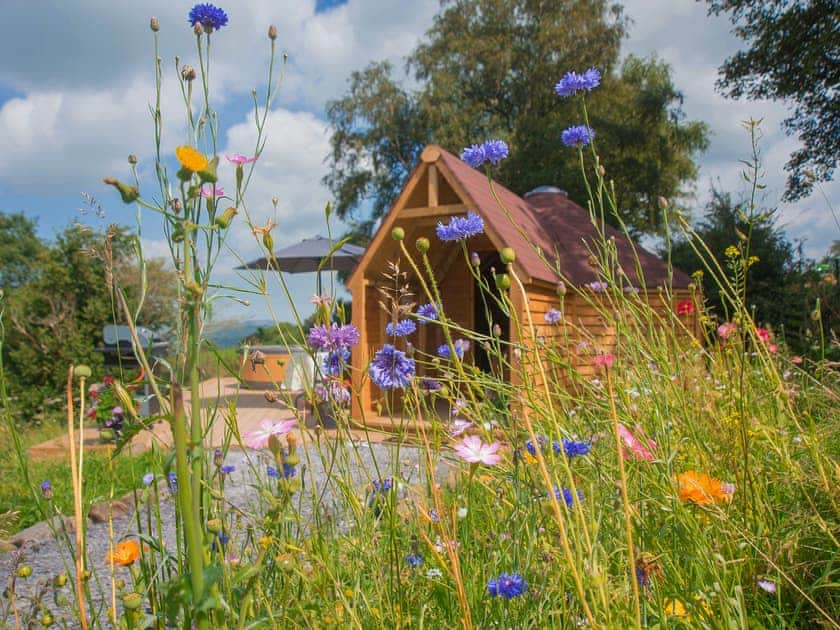 Dol y Mynydd (The Mountain Meadow) - Mountain Meadow Cabins, Abergele