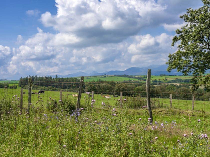 Dol y Mynydd (The Mountain Meadow) - Mountain Meadow Cabins, Abergele