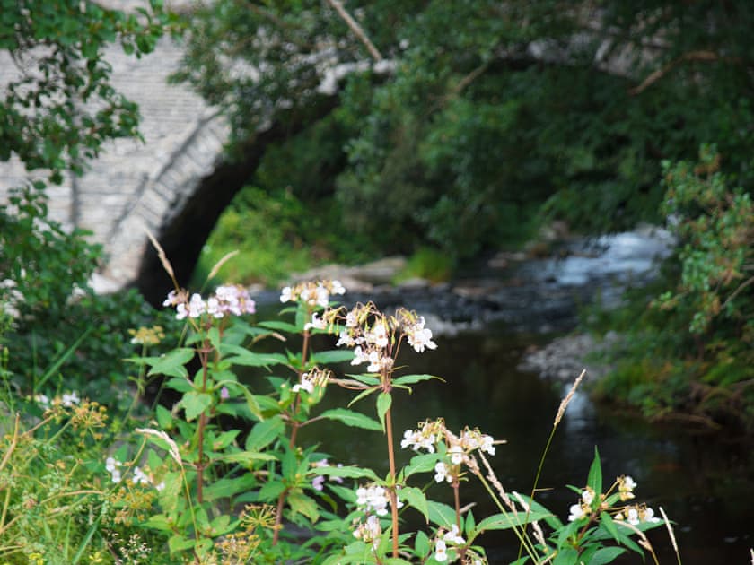 Dol y Mynydd (The Mountain Meadow) - Mountain Meadow Cabins, Abergele