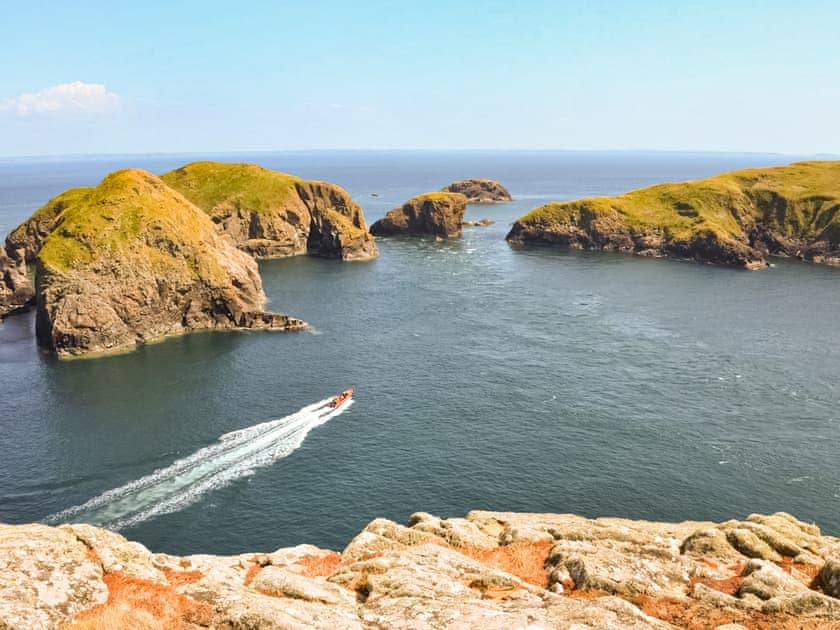 Ramsey Island | Aberfelin - Yr Hafan Holiday Cottages, Llanrhian, near Porthgain