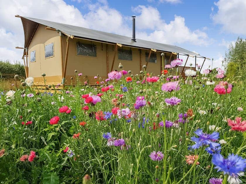 Russet Lodge - Tall Trees Glamping, Coxbridge, Glastonbury