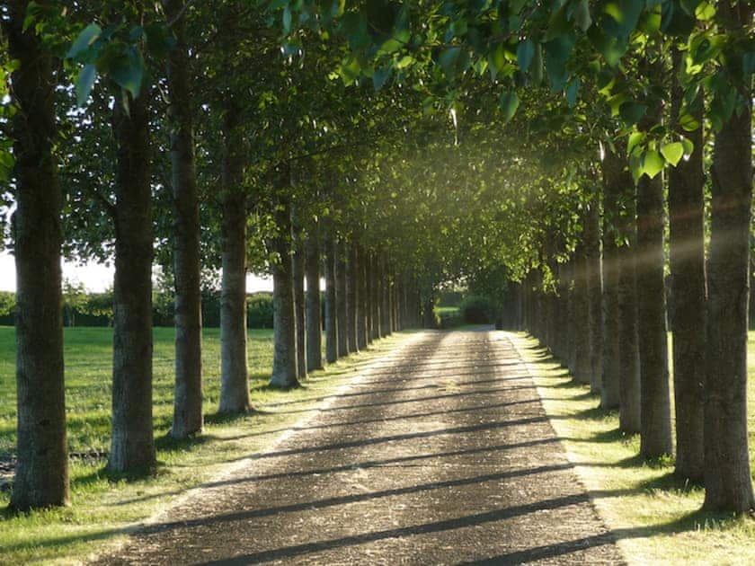 Pippin Lodge - Tall Trees Glamping, Coxbridge, Glastonbury