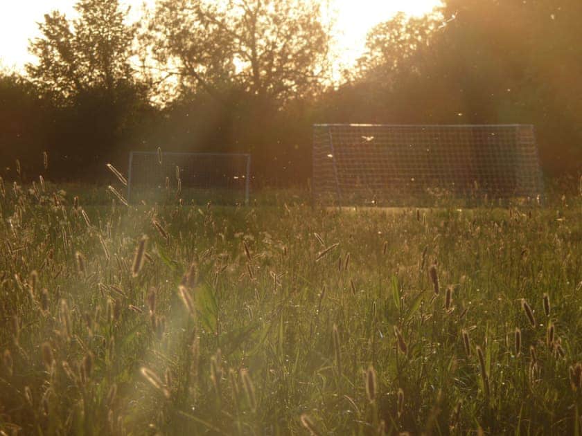Pippin Lodge - Tall Trees Glamping, Coxbridge, Glastonbury