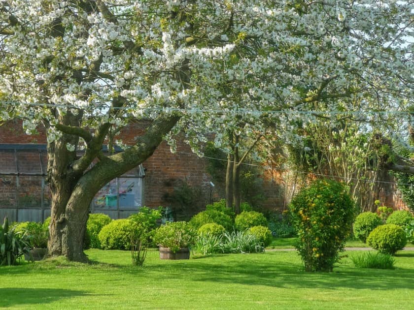 Pippin Lodge - Tall Trees Glamping, Coxbridge, Glastonbury