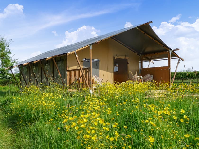 Bramley Lodge - Tall Trees Glamping, Coxbridge, Glastonbury