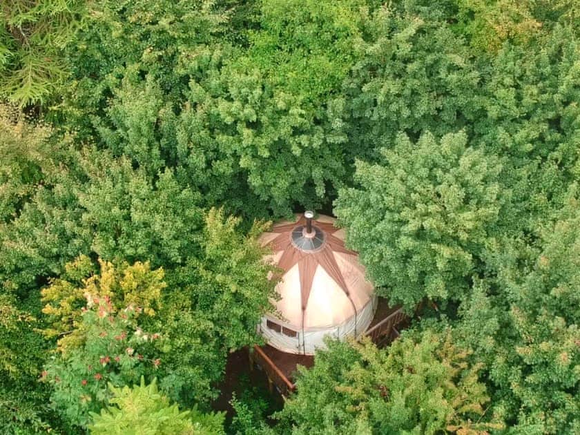 The Bentwood Yurt - Larkhill Tipis and Yurts, Carmarthen