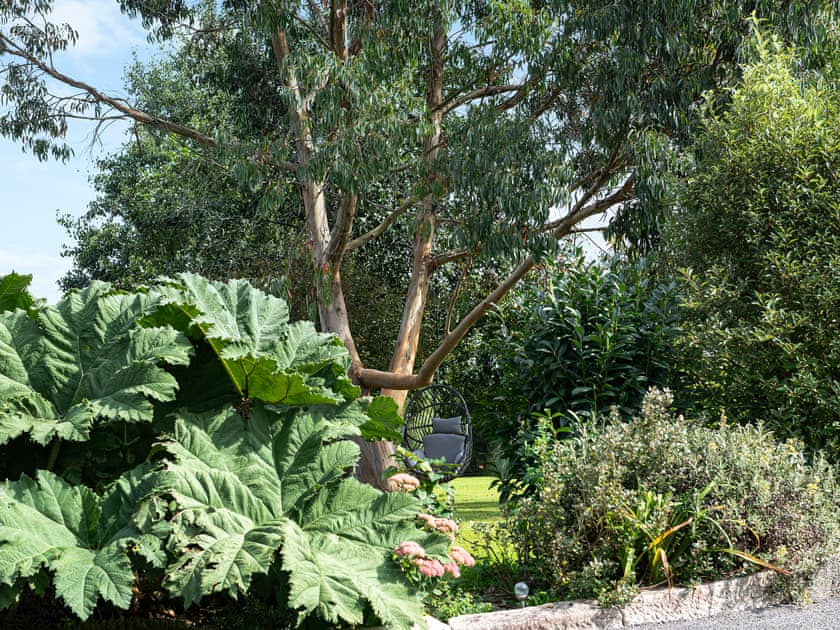 Garden | Little Willow - The Willows, Ruthvoes, near St Columb
