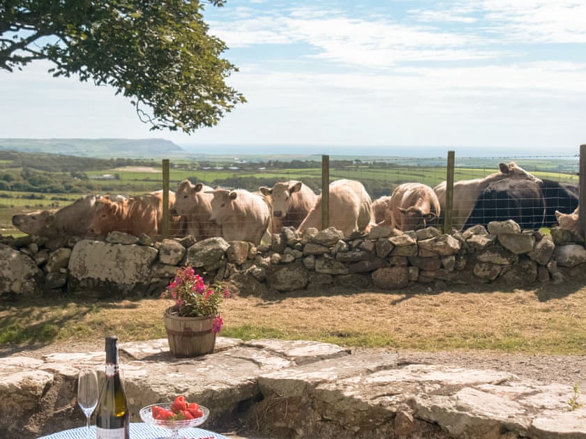 Bwlchgroes, Llaniestyn, near Abersoch
