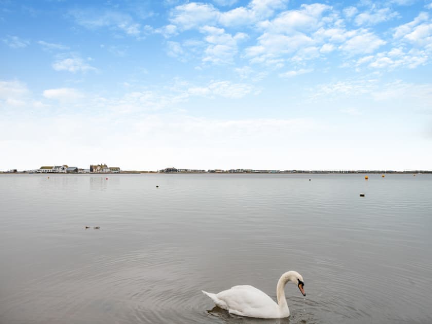Surrounding area | Victoria Cottage, Mudeford, near Christchurch