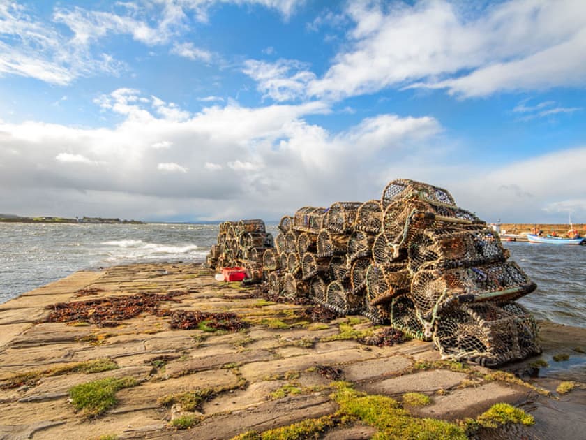 Surrounding area | Armadale Cottage - Armadale Retreats, Portmahomack, near Tain
