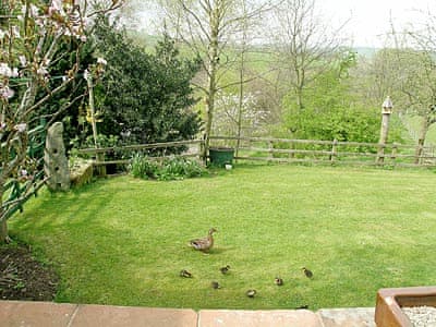 Garden | Riverbank Cottage - Hole House Farm Cottages, Pooley Bridge, nr. Ullswater