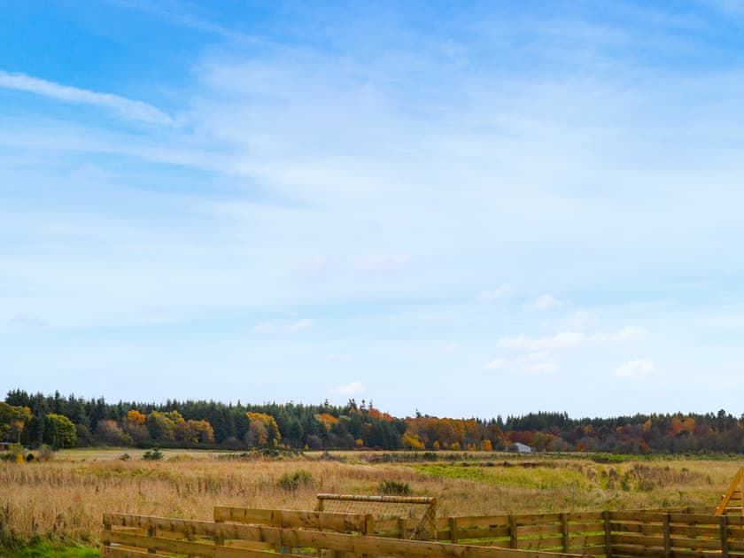 View | The Falcon - Riverview Country Park, Forres