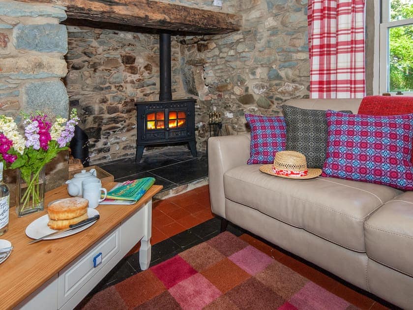Ffynnonddewi Farmhouse - Farm House Cottages, Solva, near St Davids