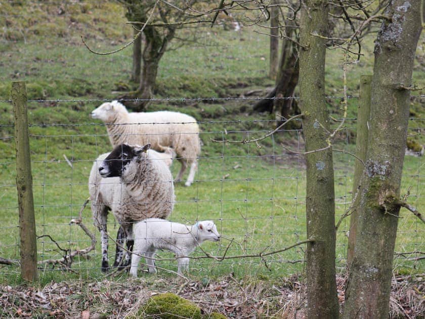 Surrounding area | The Engine Room, Scalegill, near Kirkby Malham