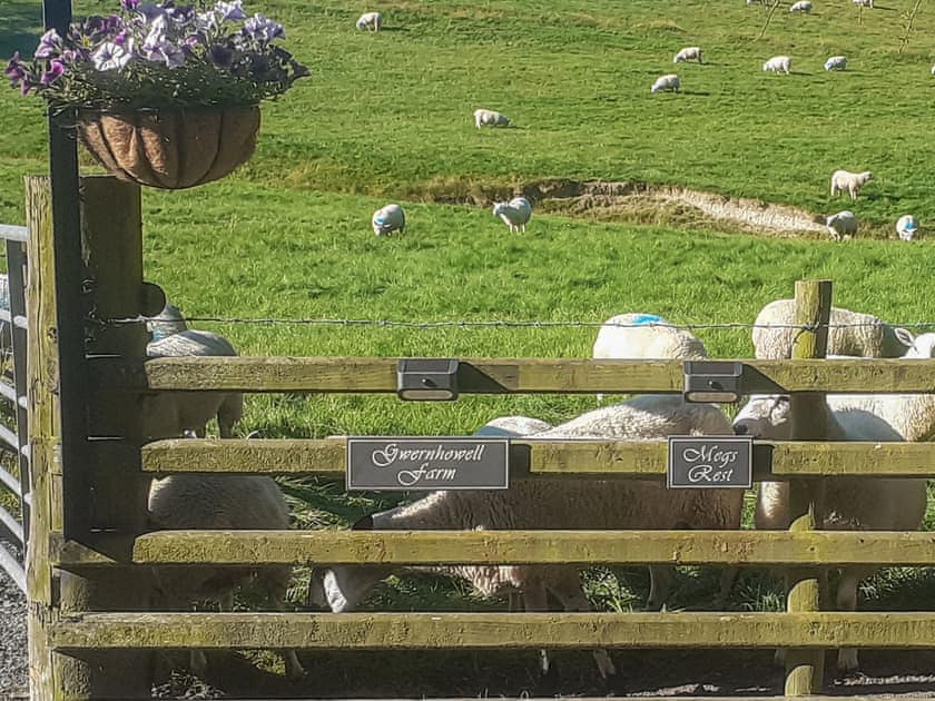 Surrounding area | Meg’s Rest, Bettws Cedewen